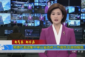常德代表团集中审议省政府工作报告及其他报告