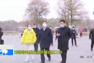 市领导赴桃花源开展巡林工作