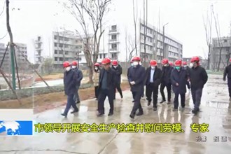 市领导开展安全生产检查并慰问劳模、专家