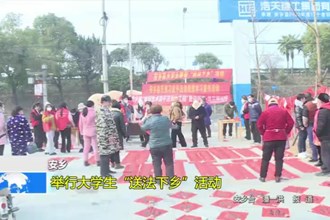 安乡：举行大学生“送法下乡”活动