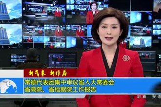 常德代表团集中审议省人大常委会、省高院、省检察院工作报告