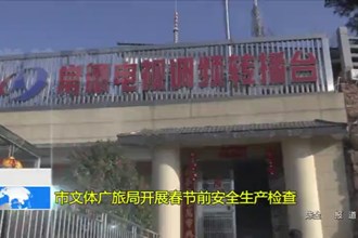 常德市文体广旅局开展春节前安全生产检查