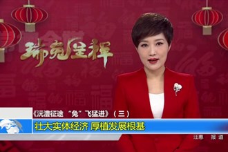 《沅澧征途 “兔”飞猛进》（三）：壮大实体经济 厚植发展根基