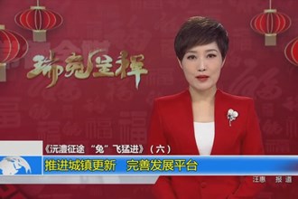 《沅澧征途 “兔”飞猛进》（六）：推进城镇更新 完善发展平台