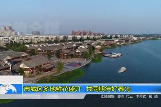 常德城区多地鲜花盛开 共同期待好春光