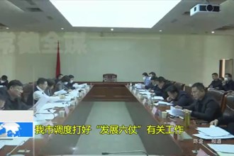 我市调度打好“发展六仗”有关工作