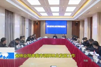 省林业局来我市调研林业发展工作