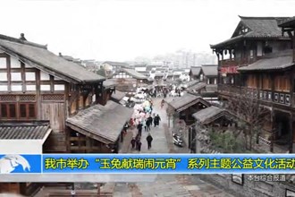 常德市举办“玉兔献瑞闹元宵”系列主题公益文化活动