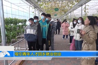 津市：吸引青年人才回乡就业创业
