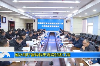 省水利厅督导我市堤垸加固工程