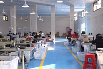 津市新洲镇：乡村振兴车间让村民实现”家门口“就业