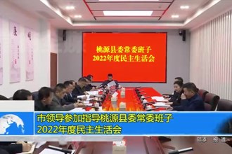 市领导参加指导桃源县委常委班子2022年度民主生活会
