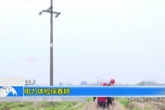 汉寿：电力体检保春耕