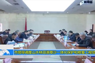 市领导调度山水林田湖草沙一体化保护和修复工程项目