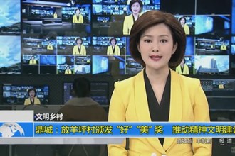 鼎城：放羊坪村颁发“好”“美”奖 推动精神文明建设