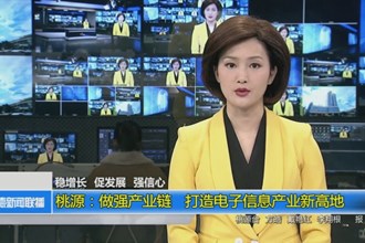 桃源：做强产业链 打造电子信息产业新高地