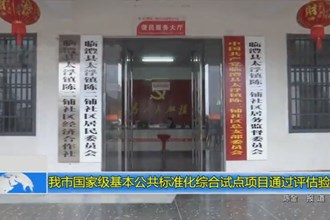 常德市国家级基本公共标准化综合试点项目通过评估验收