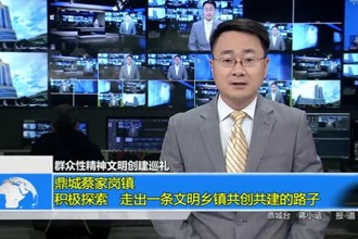 鼎城蔡家岗镇：积极探索 走出一条文明乡镇共创共建的路子