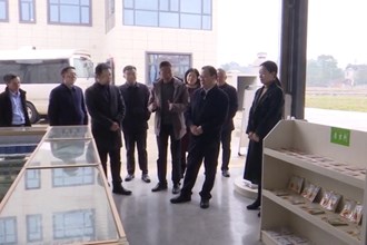 周振宇督导调研春耕备耕、全国文明城市创建、垃圾分类等工作