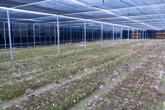 武陵区芦荻山乡：打造产业强乡 建设大美新乡