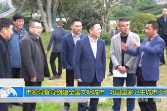 市领导督导创建全国文明城市 巩固国家卫生城市工作