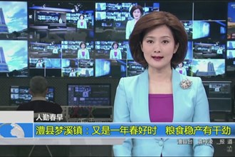 澧县梦溪镇：又是一年春好时 粮食稳产有干劲