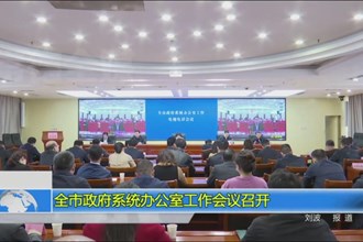 全市政府系统办公室工作会议召开