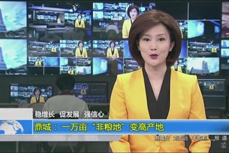 鼎城：一万亩“非粮地”变高产地