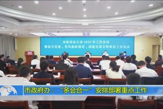 市政府办：“多会合一”安排部署重点工作