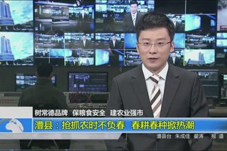 澧县：抢抓农时不负春 春耕春种掀热潮