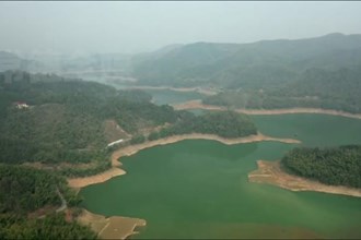 桃源：泥融生春草 水暖戏鸳鸯