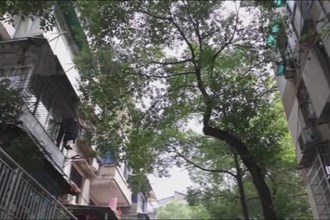 武陵：老党员化身维修工 8年上门送服务