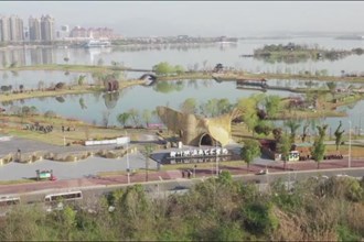 我市开展2023年义务植树活动