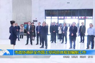 市政协调研全市国土空间总体规划编制工作