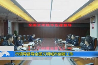 市领导督导全国文明城市创建工作