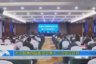 市文联第四届委员会第十三次会议召开