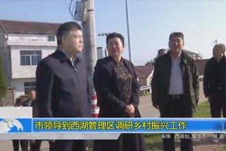 市领导到西湖管理区调研乡村振兴工作