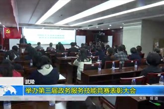 武陵：2022年共受理业务29万余件，获满意率100%