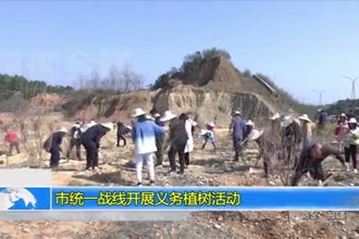 常德市统一战线开展义务植树活动