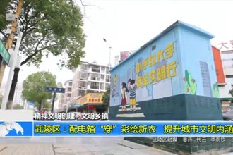 武陵区：配电箱“穿”彩绘新衣 提升城市文明内涵
