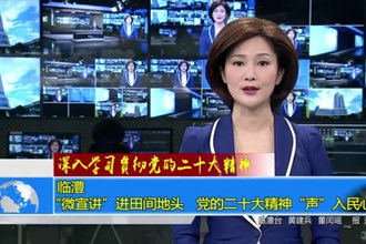 临澧：“微宣讲”进田间地头 党的二十大精神“声”入民心