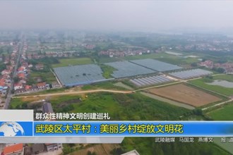 武陵区太平村：美丽乡村绽放文明花