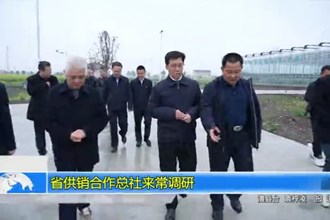 省供销合作总社来常德调研