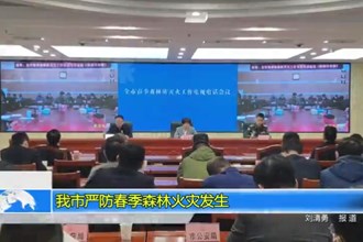 常德市严防春季森林火灾发生
