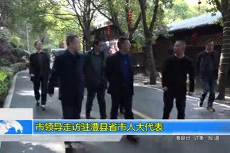 市领导走访驻澧县省市人大代表