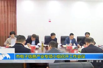 市电子信息产业专项小组召开工作会议