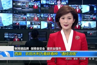 西湖：农田水利为春耕春种“通经活络”
