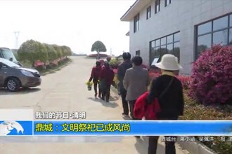 我们的节日-清明(4.5)