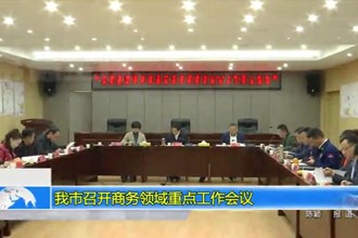 常德市召开商务领域重点工作会议