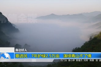 覃进民：7年护绿2.5万亩 演绎青山不了情